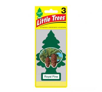 Little Trees Royal Pine Scent Car Air Freshener